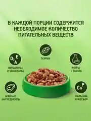 Сухой полнорационный корм KITEKAT™ для взрослых кошек «Мясной Пир», 800г