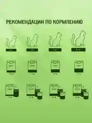 Сухой полнорационный корм KITEKAT™ для взрослых кошек «Мясной Пир», 800г