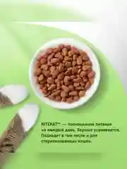 Сухой полнорационный корм KITEKAT™ для взрослых кошек «Мясной Пир», 800г