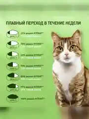 Сухой полнорационный корм KITEKAT™ для взрослых кошек «Мясной Пир», 800г