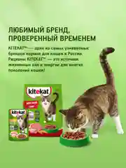 Сухой полнорационный корм KITEKAT™ для взрослых кошек «Мясной Пир», 800г
