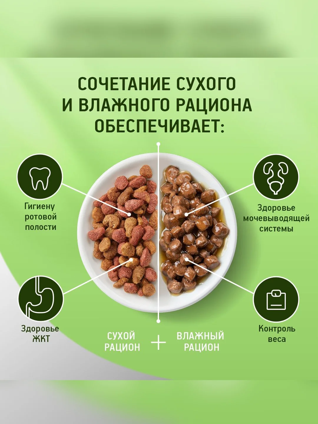 Сухой полнорационный корм KITEKAT™ для взрослых кошек «Мясной Пир», 800г