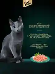 Влажный корм для кошек SHEBA® с лососем. «Ломтики в соусе. Лосось», 28 шт по 75г
