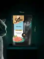 Влажный корм для кошек SHEBA® с лососем. «Ломтики в соусе. Лосось», 28 шт по 75г