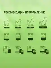 Влажный корм KITEKAT™ для кошек со вкусом ягнёнка в соусе «Лакомый ягнёнок», 28 шт по 85г