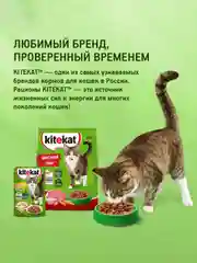Влажный корм KITEKAT™ для кошек со вкусом ягнёнка в соусе «Лакомый ягнёнок», 28 шт по 85г