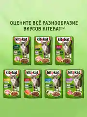 Влажный корм KITEKAT™ для кошек со вкусом ягнёнка в соусе «Лакомый ягнёнок», 28 шт по 85г