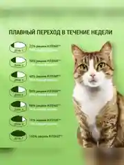 Влажный корм KITEKAT™ для кошек со вкусом ягнёнка в соусе «Лакомый ягнёнок», 28 шт по 85г