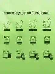Сухой полнорационный корм KITEKAT™ для взрослых кошек «Мясной Пир», 15кг