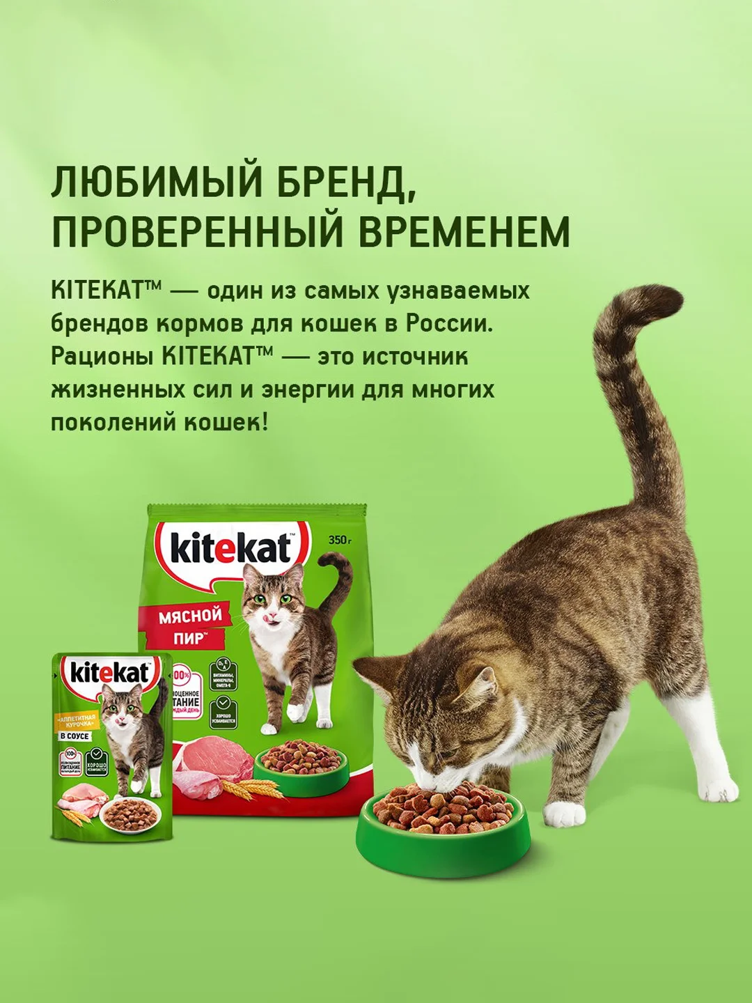 Сухой полнорационный корм KITEKAT™ для взрослых кошек «Мясной Пир», 15кг