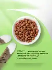 Сухой полнорационный корм KITEKAT™ для взрослых кошек «Мясной Пир», 15кг