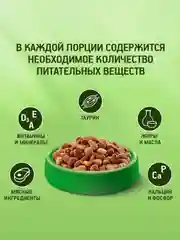 Сухой полнорационный корм KITEKAT™ для взрослых кошек «Мясной Пир», 15кг