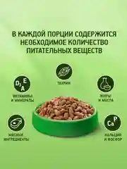 Сухой полнорационный корм KITEKAT™ для взрослых кошек «Улов Рыбака», 1.9кг