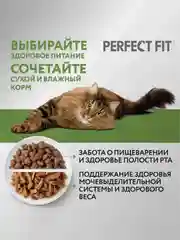 Cухой корм PERFECT FIT™ для стерилизованных кошек старше 7 лет, с курицей, 650 г