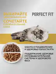 Сухой корм PERFECT FIT™ для взрослых кошек с чувствительным пищеварением с индейкой, 1.2кг