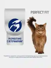Влажный корм PERFECT FIT™ для взрослых кошек, с говядиной в соусе, 28 шт по 75г