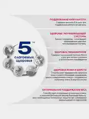 Влажный корм PERFECT FIT™ для взрослых кошек, с говядиной в соусе, 28 шт по 75г