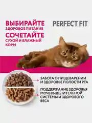 Влажный корм PERFECT FIT для стерилизованных кошек старше 7 лет курица в соусе 28шт по 75г