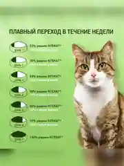 Влажный корм KITEKAT™ для кошек со вкусом курицы в желе «Аппетитная курочка», 28 шт по 85г