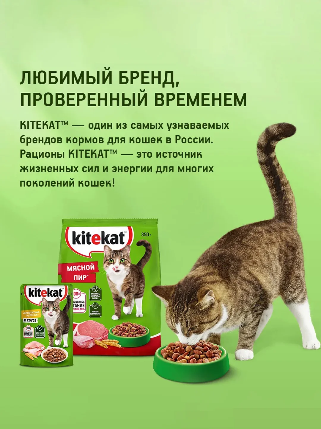 Влажный корм KITEKAT™ для кошек со вкусом курицы в желе «Аппетитная курочка», 28 шт по 85г