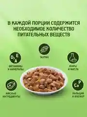 Влажный корм KITEKAT™ для кошек со вкусом курицы в желе «Аппетитная курочка», 28 шт по 85г
