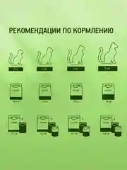 Влажный корм KITEKAT™ для кошек со вкусом курицы в желе «Аппетитная курочка», 28 шт по 85г