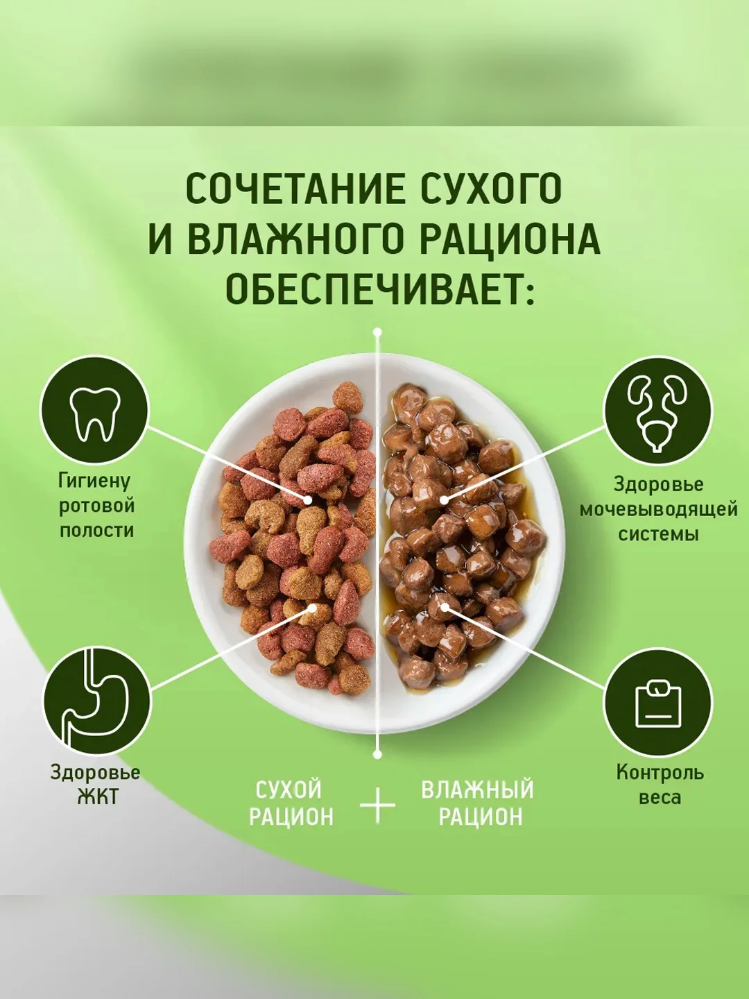 Влажный корм KITEKAT™ для кошек со вкусом курицы в желе «Аппетитная курочка», 28 шт по 85г
