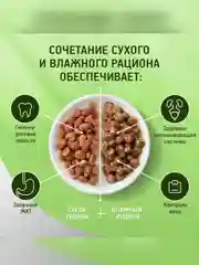 Влажный корм KITEKAT™ для кошек со вкусом курицы в желе «Аппетитная курочка», 28 шт по 85г