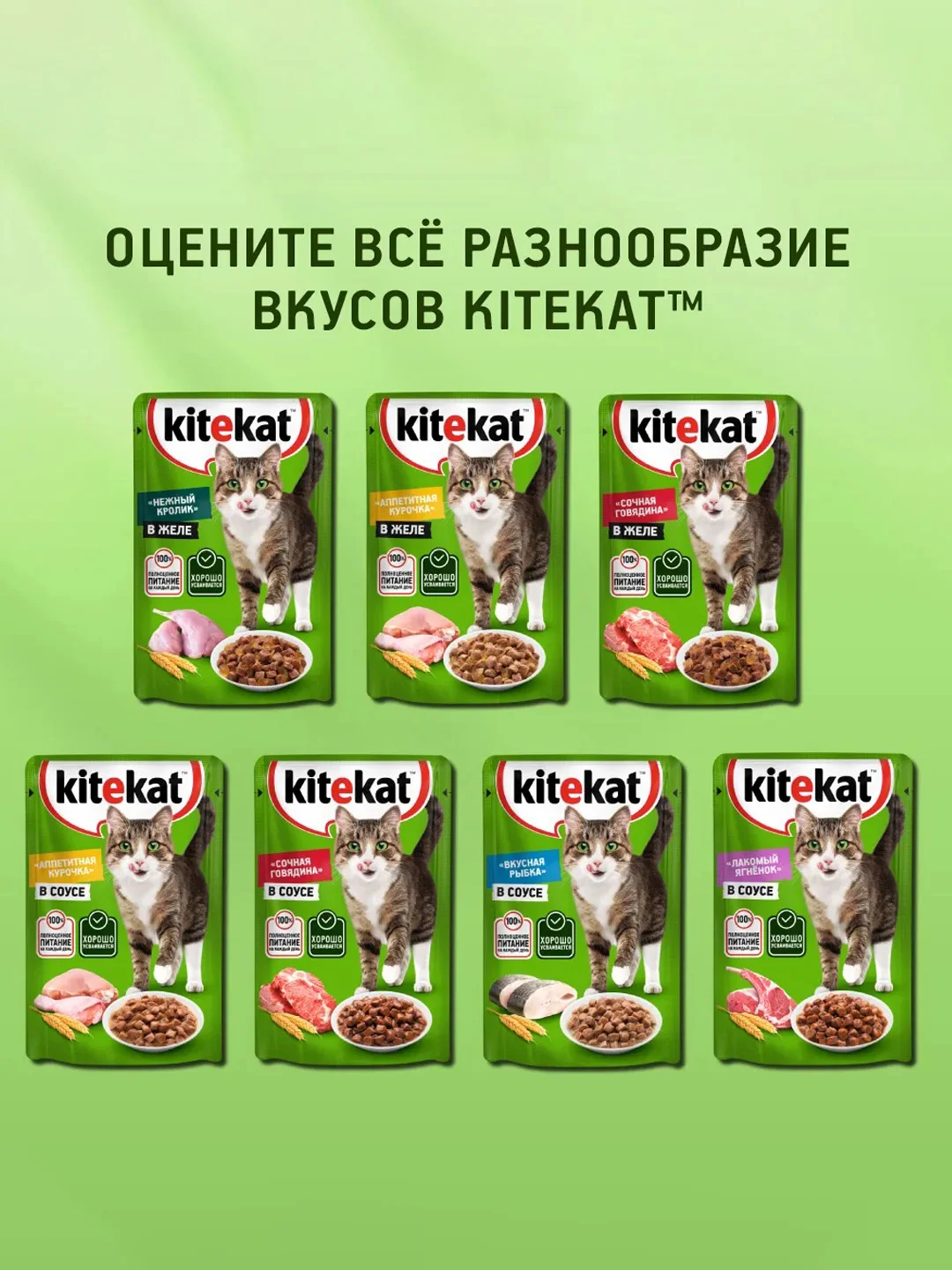 Влажный корм KITEKAT™ для кошек со вкусом курицы в желе «Аппетитная курочка», 28 шт по 85г