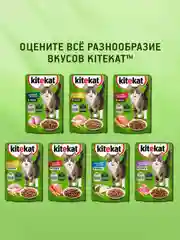Влажный корм KITEKAT™ для кошек со вкусом курицы в желе «Аппетитная курочка», 28 шт по 85г