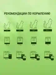 Сухой полнорационный корм KITEKAT™ для взрослых кошек «Улов Рыбака», 15кг