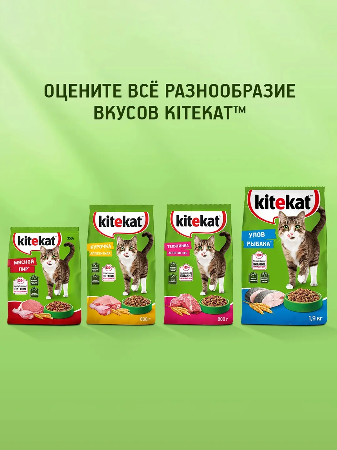 Сухой полнорационный корм KITEKAT™ для взрослых кошек «Улов Рыбака», 15кг