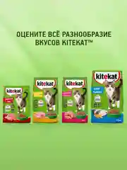 Сухой полнорационный корм KITEKAT™ для взрослых кошек «Улов Рыбака», 15кг