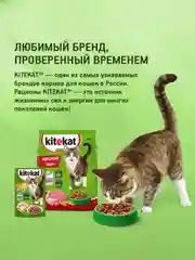 Сухой полнорационный корм KITEKAT™ для взрослых кошек «Улов Рыбака», 15кг