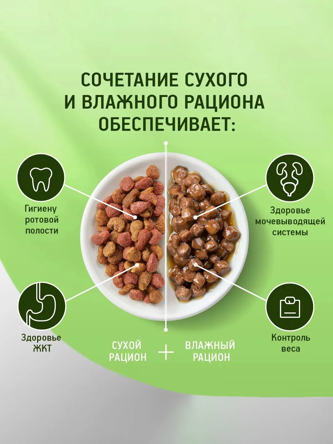 Влажный корм KITEKAT™ для кошек со вкусом говядины в соусе «Сочная говядина», 28 шт по 85г