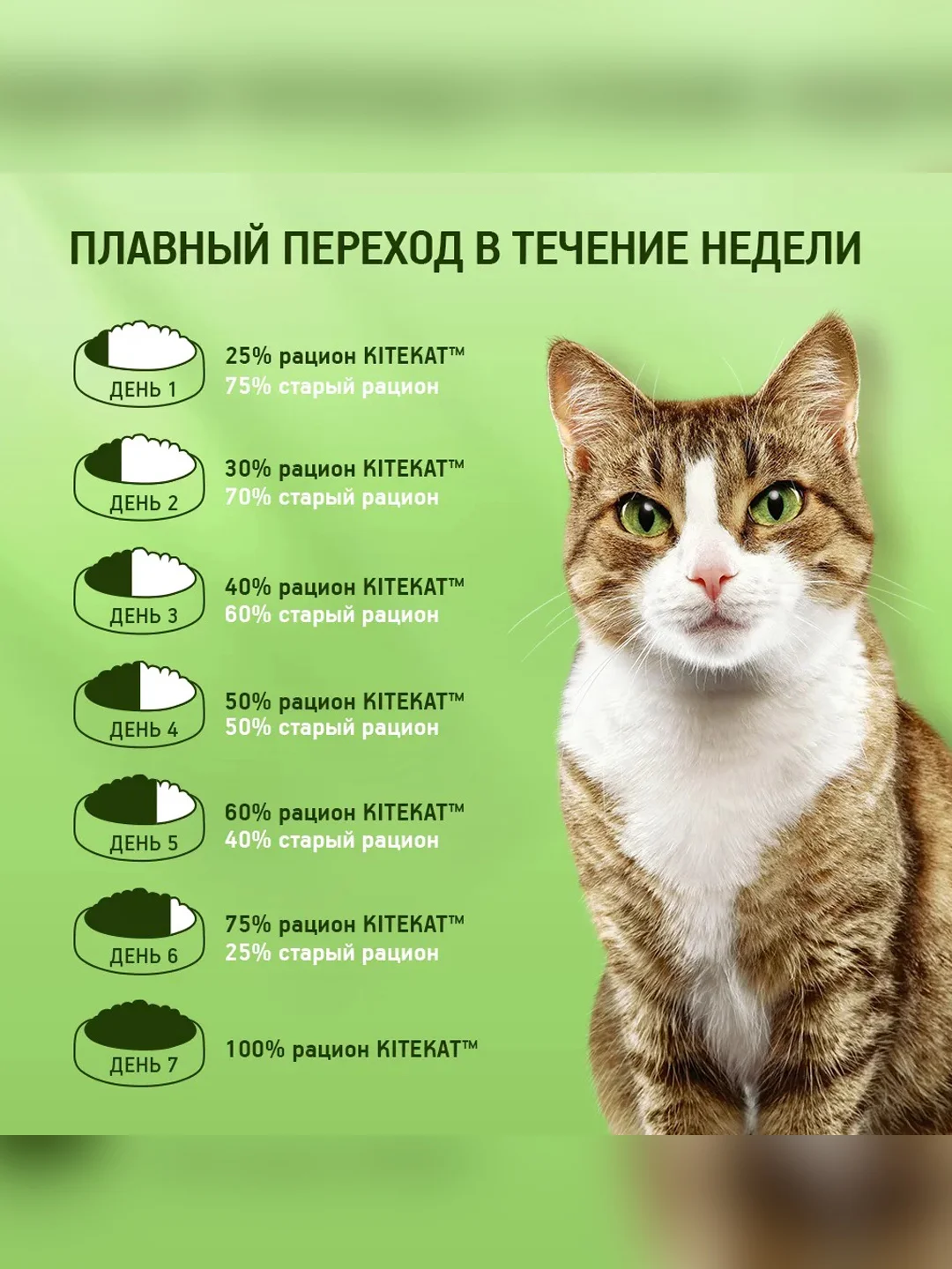 Влажный корм KITEKAT™ для кошек со вкусом говядины в соусе «Сочная говядина», 28 шт по 85г