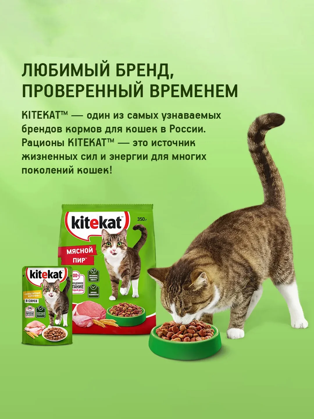 Влажный корм KITEKAT™ для кошек со вкусом говядины в соусе «Сочная говядина», 28 шт по 85г