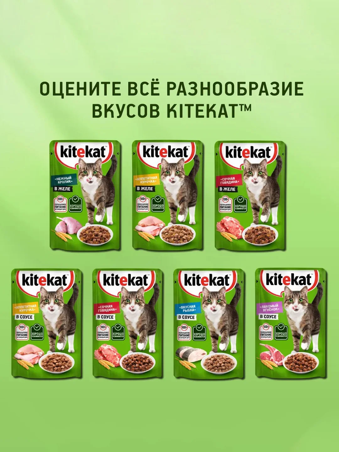 Влажный корм KITEKAT™ для кошек со вкусом говядины в соусе «Сочная говядина», 28 шт по 85г