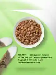 Влажный корм KITEKAT™ для кошек, со вкусом рыбы в соусе. «Вкусная рыбка», 28 шт по 85г