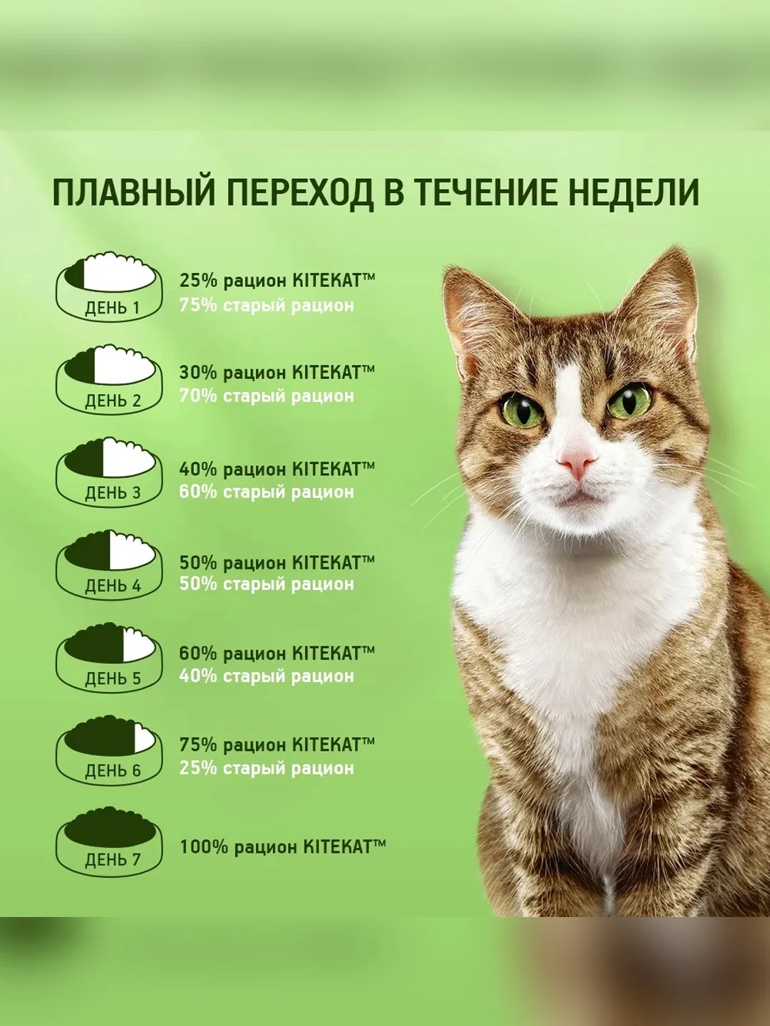 Влажный корм KITEKAT™ для кошек, со вкусом рыбы в соусе. «Вкусная рыбка», 28 шт по 85г