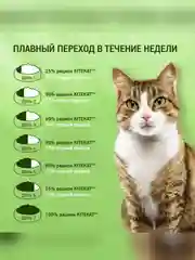 Влажный корм KITEKAT™ для кошек, со вкусом рыбы в соусе. «Вкусная рыбка», 28 шт по 85г