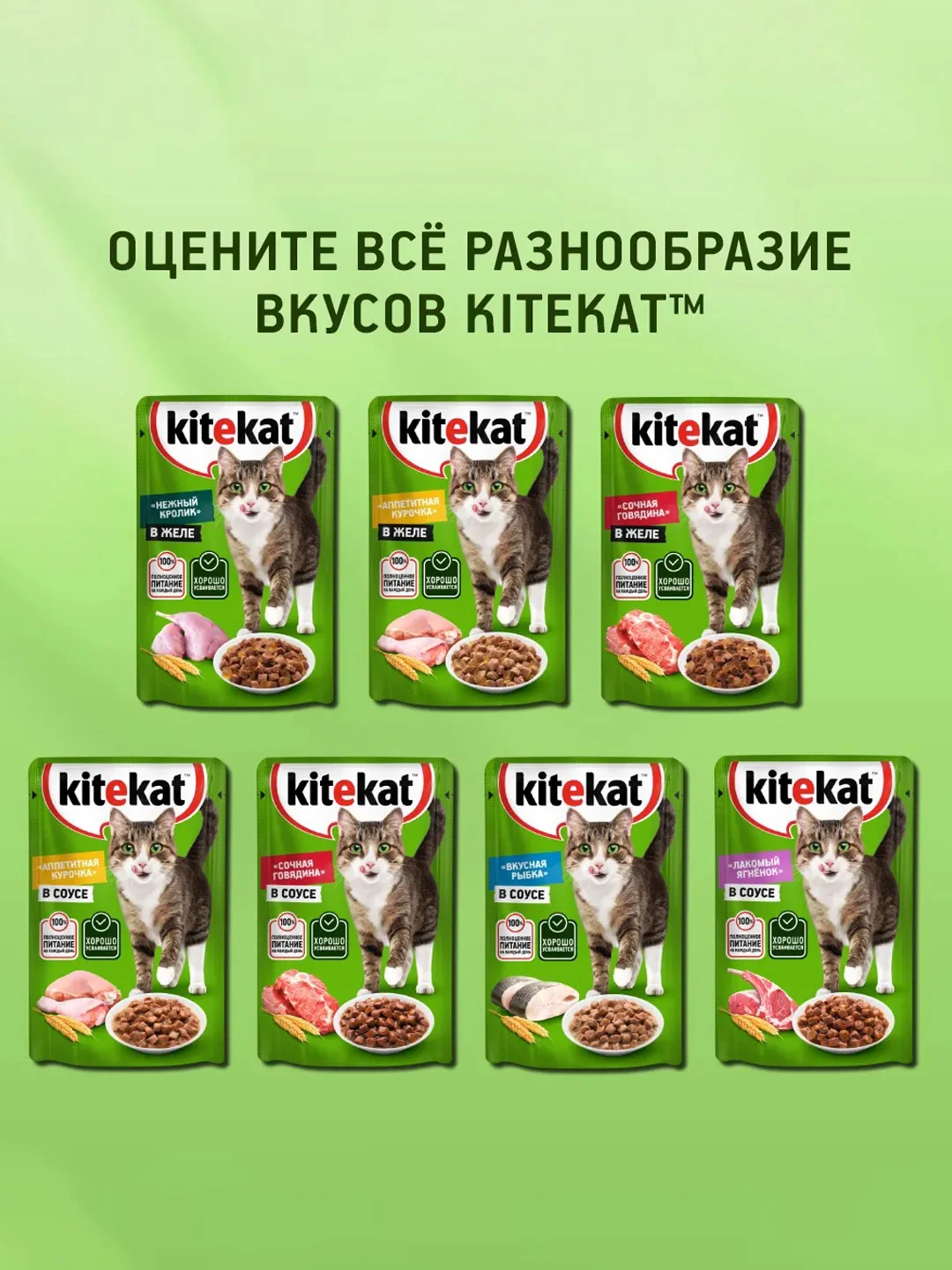 Влажный корм KITEKAT™ для кошек, со вкусом рыбы в соусе. «Вкусная рыбка», 28 шт по 85г