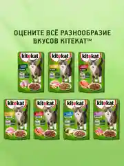 Влажный корм KITEKAT™ для кошек, со вкусом рыбы в соусе. «Вкусная рыбка», 28 шт по 85г