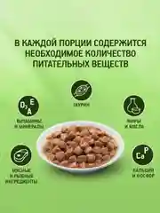 Влажный корм KITEKAT™ для кошек, со вкусом рыбы в соусе. «Вкусная рыбка», 28 шт по 85г