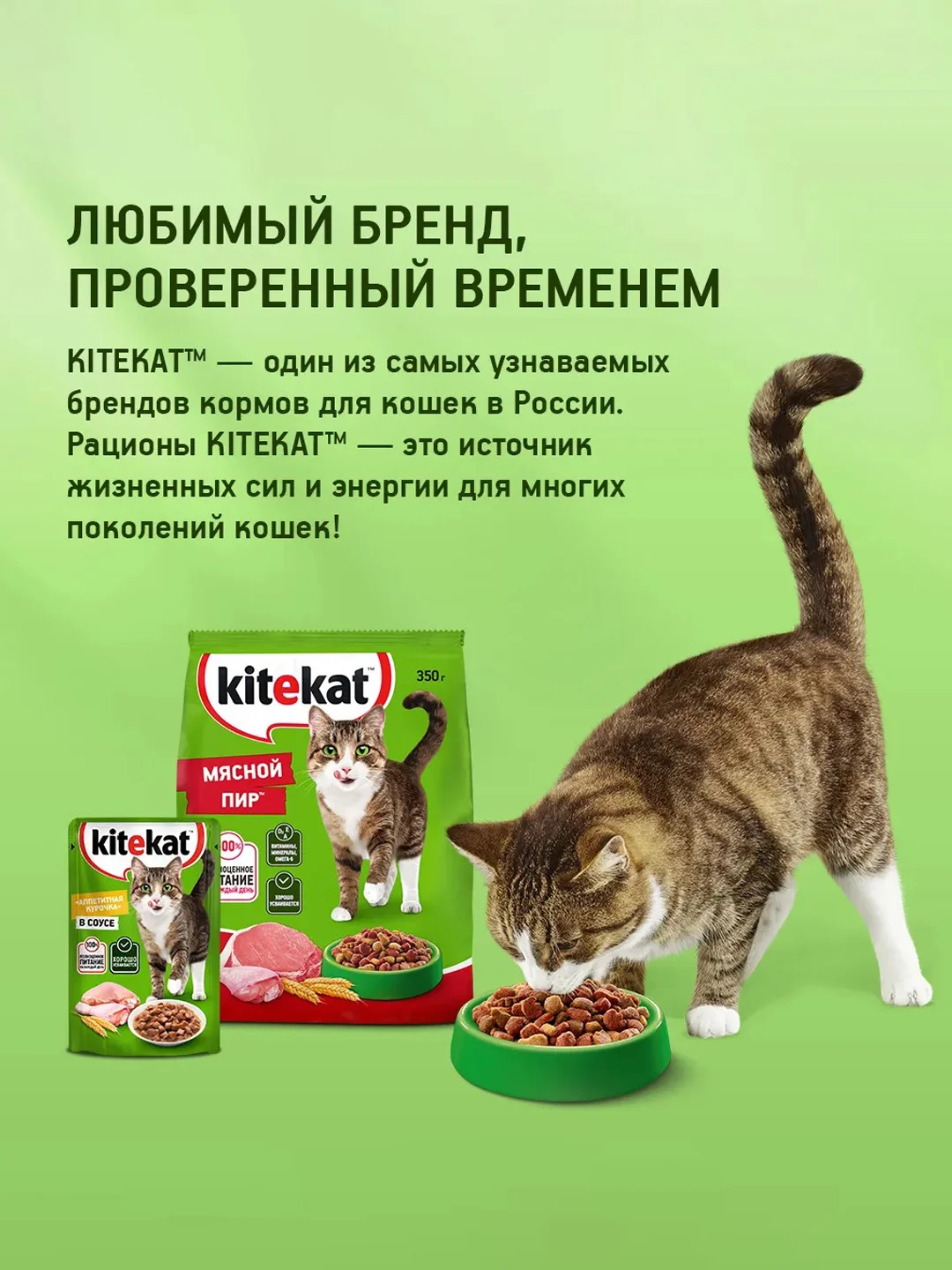 Влажный корм KITEKAT™ для кошек, со вкусом рыбы в соусе. «Вкусная рыбка», 28 шт по 85г