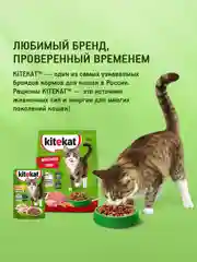 Сухой полнорационный корм KITEKAT™ для взрослых кошек «Телятинка Аппетитная», 800г