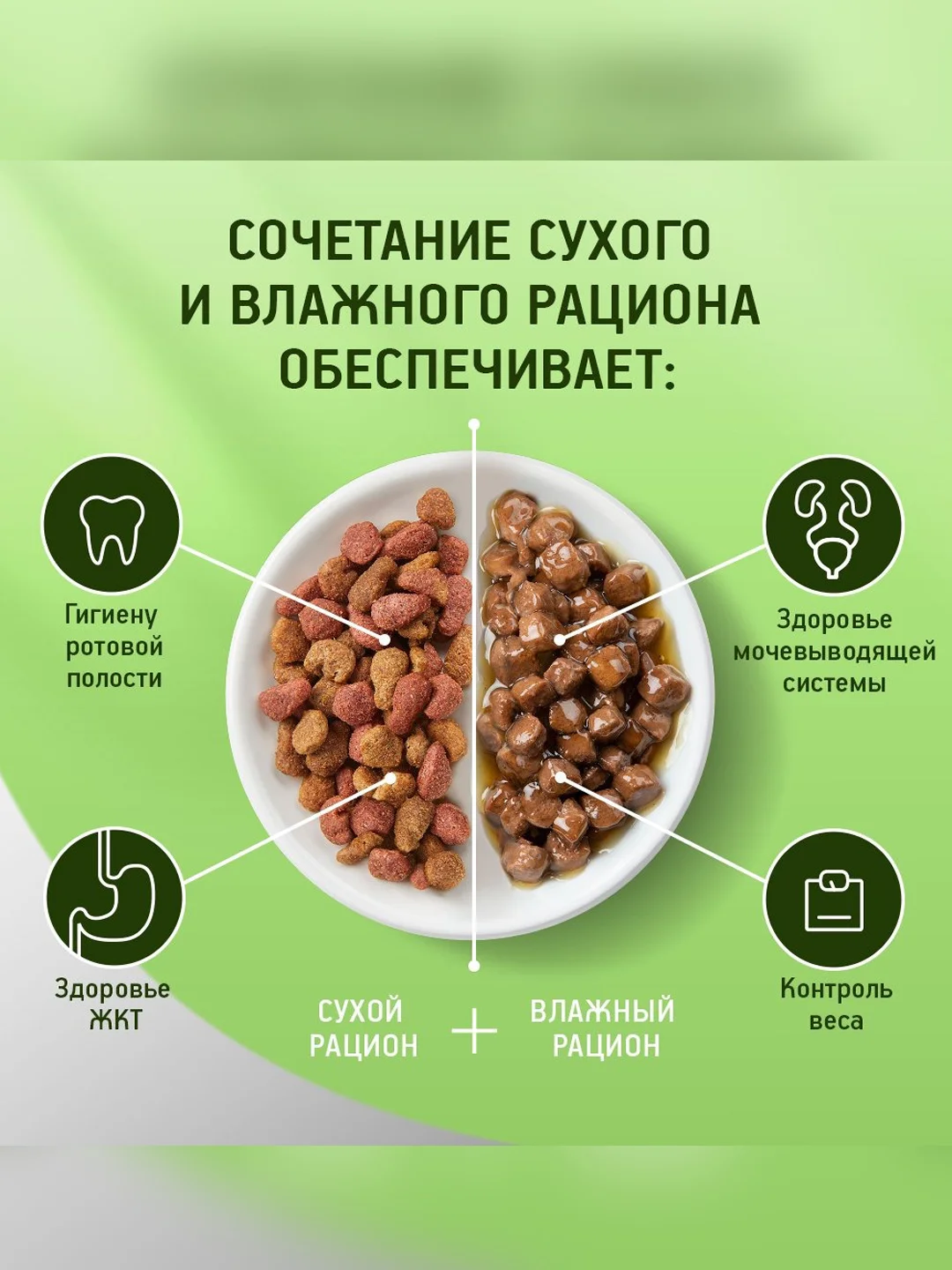 Сухой полнорационный корм KITEKAT™ для взрослых кошек «Телятинка Аппетитная», 800г