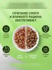 Сухой полнорационный корм KITEKAT™ для взрослых кошек «Телятинка Аппетитная», 800г