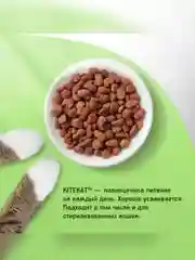 Сухой полнорационный корм KITEKAT™ для взрослых кошек «Телятинка Аппетитная», 800г