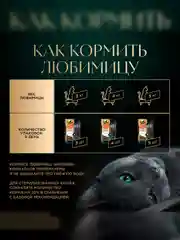 Влажный корм для кошек SHEBA® «Ломтики в соусе. Телятина и Язык», 28 шт по 75г